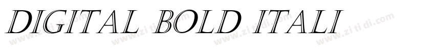 Digital Bold Itali字体转换